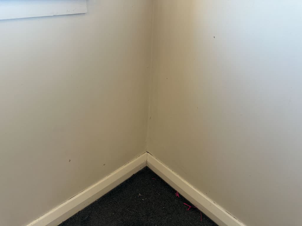 Before